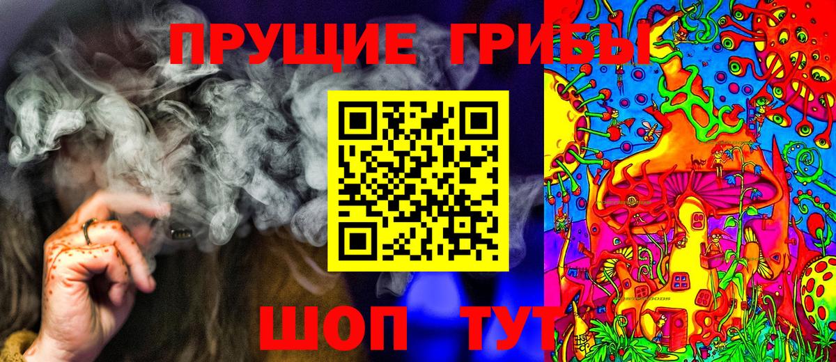Галлюциногенные грибы прущие грибы  Вход с VPN  Майкоп 