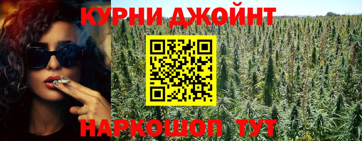 МАРИХУАНА ГИДРОПОН Майкоп